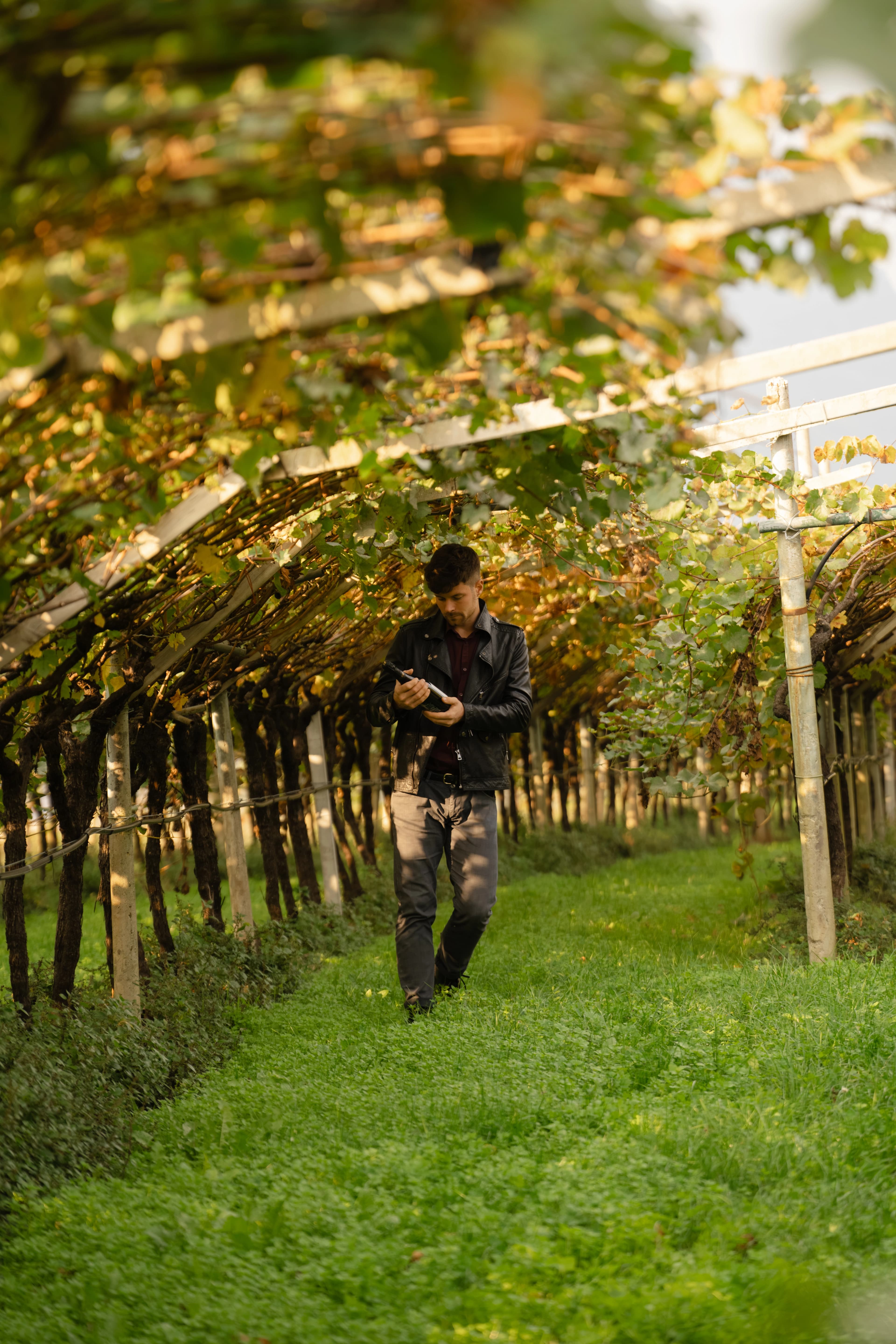 Azienda Agricola Scrinzi | Saltarius Spumante