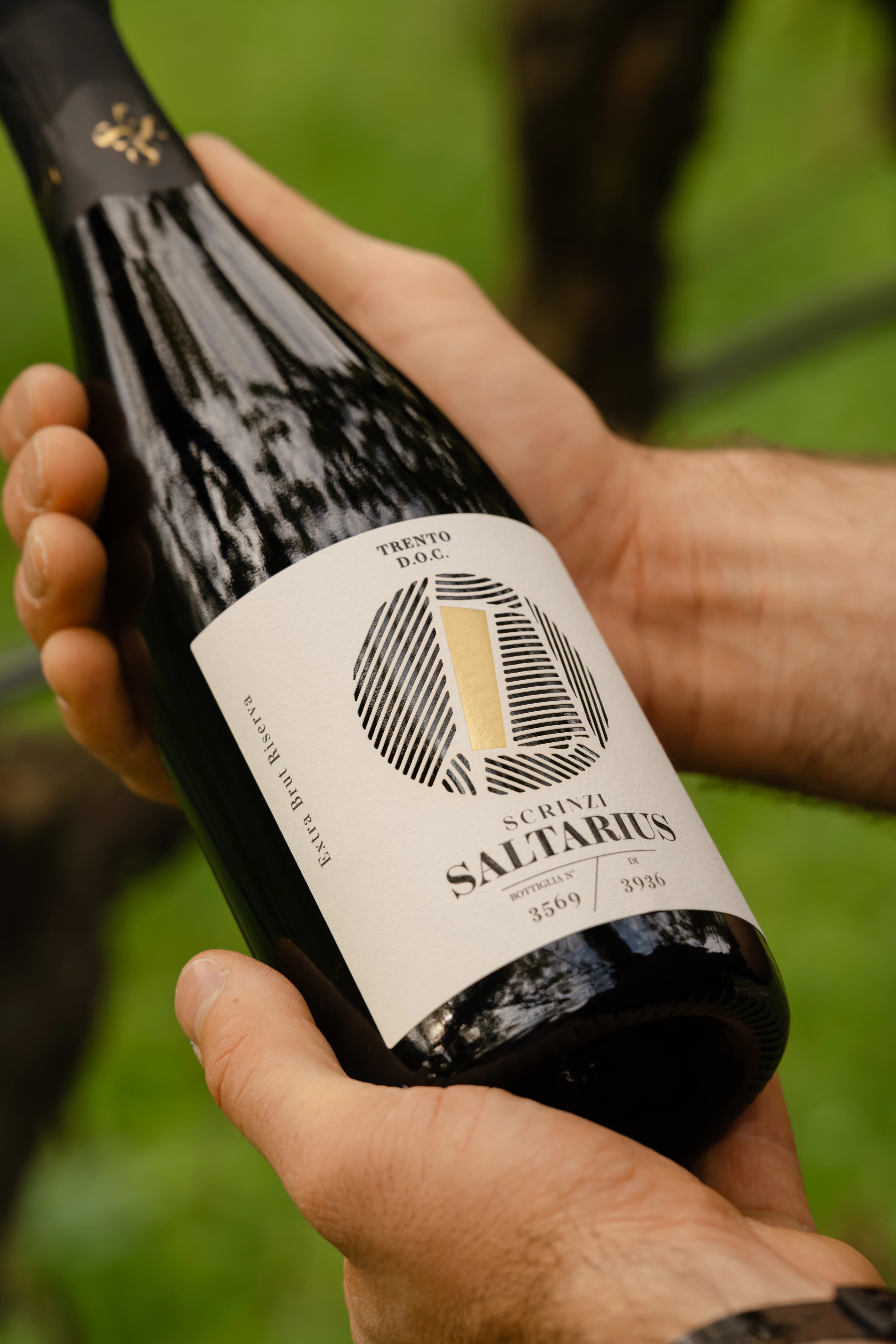 Spumante Saltarius Trento DOC di Scrinzi